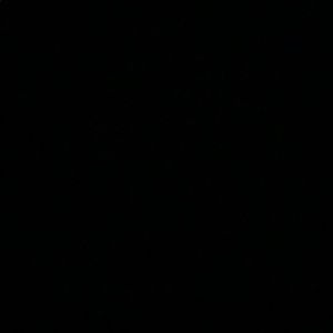 Meet your Posher, Anna.